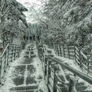 Galeria widokowa na Gołoborzu - galeria widokowa na goloborzu4