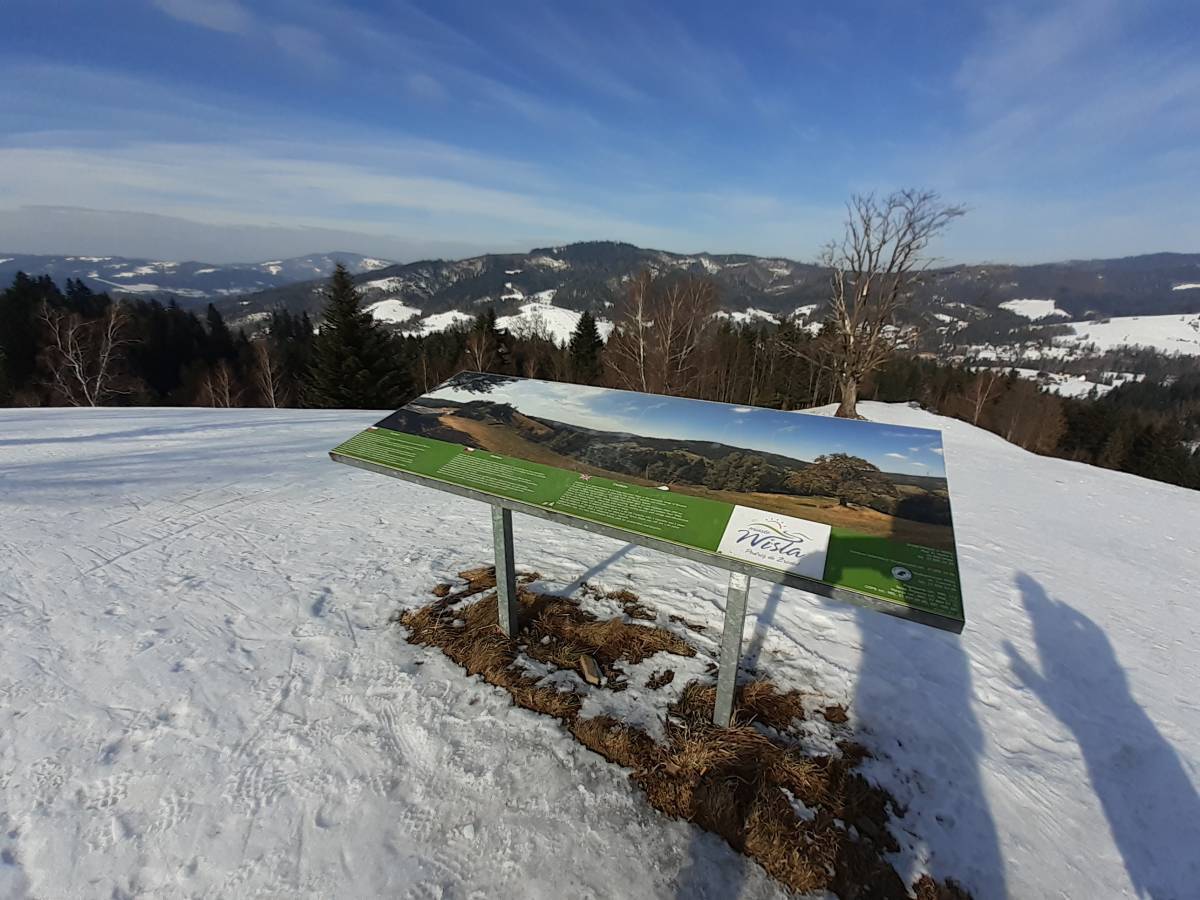 Panorama w punktu widokowego Cieńków