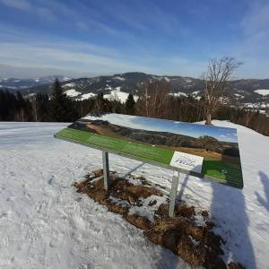 Pętla Cieńkowska - petla cienkowska 2