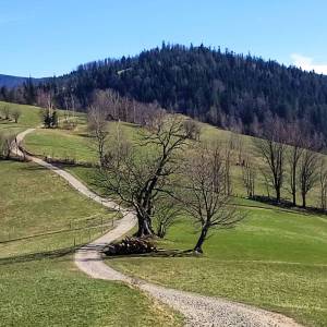 Pętla Cieńkowska - petla cienkowska 3