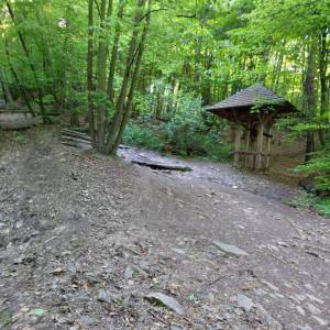 Szlak Niebieski Świętokrzyskiego Parku Narodowego - szlak niebieski swietokrzyskiego parku narodowego1