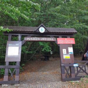 Szlak Niebieski Świętokrzyskiego Parku Narodowego - szlak niebieski swietokrzyskiego parku narodowego3