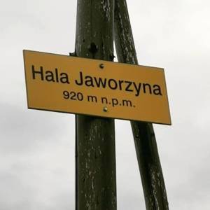 Hala Jaworzyna pod Skrzycznem - hala jaworzyna pod skrzycznem 6