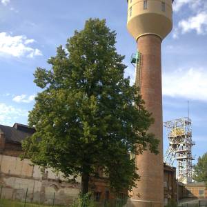 Wieża widokowa Kopalni "Ignacy" w Rybniku - wieza widokowa kopalnii ignacy w rybniku 10