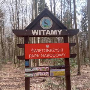 Szlak Żółty Świętokrzyskiego Parku Narodowego - szlak zolty swietokrzyskiego parku narodowego2