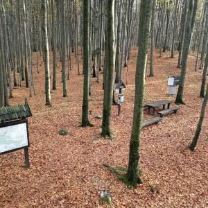 Szlak Żółty Świętokrzyskiego Parku Narodowego - szlak zolty swietokrzyskiego parku narodowego3