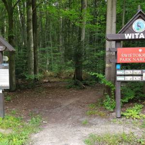 Szlak Żółty Świętokrzyskiego Parku Narodowego - szlak zolty swietokrzyskiego parku narodowego4