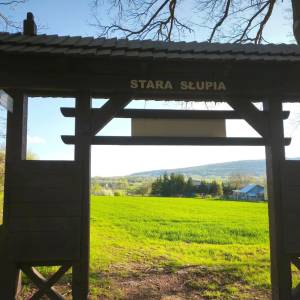 Szlak Czarny Świętokrzyskiego Parku Narodowego - szlak czarny swietokrzyskiego parku narodowego5