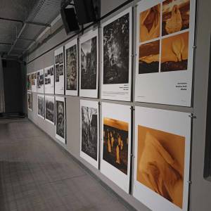 Łaźnia Moszczenica - Carbonarium w Jastrzębiu-Zdroju - laznia moszczenica carbonarium w jastrzebiu zdroju 5