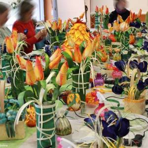 Osikowa Dolina w Koziegłowach - osikowa dolina w kozieglowach 1