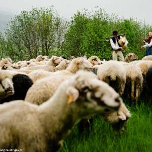 Gospodarstwo naturalne Sopki Stopki w Cięcinie - gospodarstwo naturalne sopki stopki w ciecinie 4