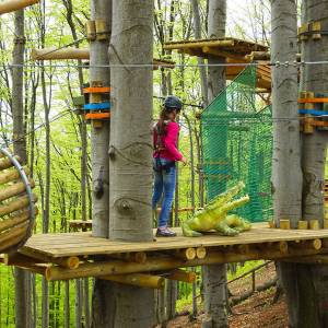 Park linowy Góra Równica - park linowy gora rownica 10