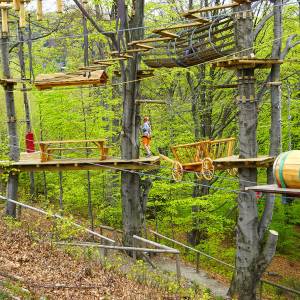 Park linowy Góra Równica - park linowy gora rownica 5