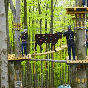 Park linowy Góra Równica - park linowy gora rownica 6