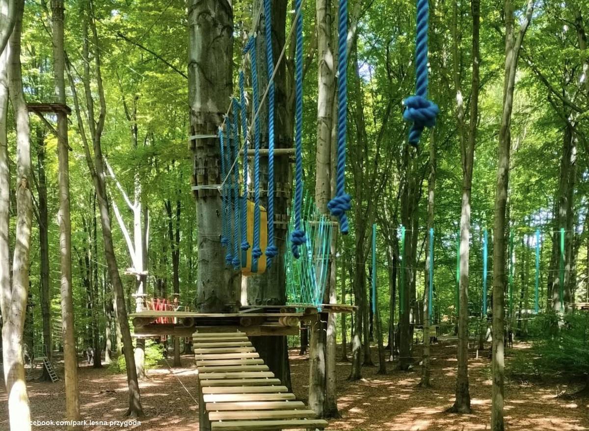 Park linowy Leśna Przygoda w Radlinie - park linowy lesna przygoda w radlinie 6