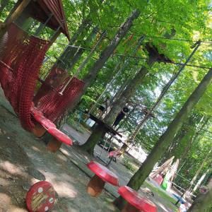 Park linowy Leśna Przygoda w Radlinie - park linowy lesna przygoda w radlinie 3