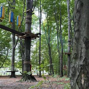 Park linowy Leśna Przygoda w Radlinie - park linowy lesna przygoda w radlinie 8