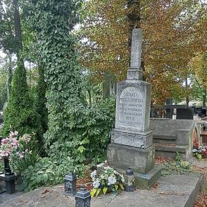 Cmentarz Stary w Płocku - cmentarz stary w plocku 1