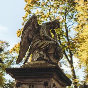 Cmentarz Stary w Płocku - cmentarz stary w plocku 3