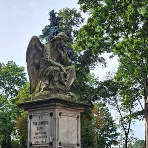 Cmentarz Stary w Płocku - cmentarz stary w plocku 5