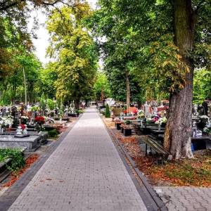 Cmentarz Stary w Płocku - cmentarz stary w plocku 6