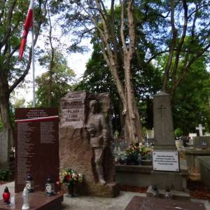 Cmentarz Stary w Płocku - cmentarz stary w plocku 7