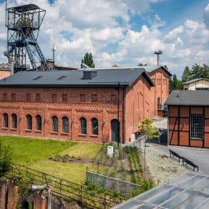 Strefa Carnall w Zabrzu - strefa carnall w zabrzu 4