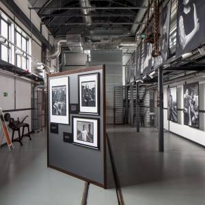 Strefa Carnall w Zabrzu - strefa carnall w zabrzu 8