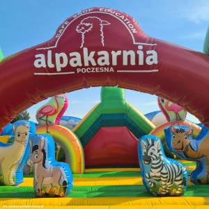 Alpakarnia - Mini Zoo w Poczesnej - alpakarnia mini zoo w poczesnej 11
