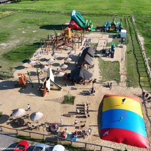 Alpakarnia - Mini Zoo w Poczesnej - alpakarnia mini zoo w poczesnej 14