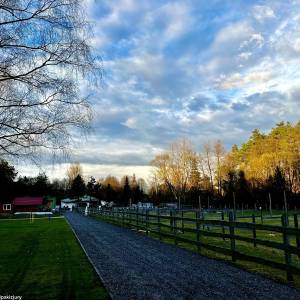 Alpaki z Jury - alpaki z jury 14