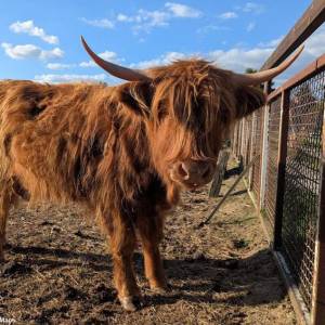 Gospodarstwo Rolno-Agroturystyczne Ranczo Natii - gospodarstwo rolno agroturystyczne ranczo natii 12