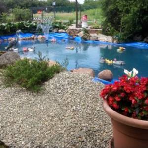 Gospodarstwo Rolno-Agroturystyczne Ranczo Natii - gospodarstwo rolno agroturystyczne ranczo natii 3