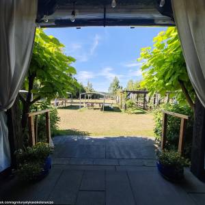 Agroturystyka Sokole Ranczo w Biskupicach - agroturystyka sokole ranczo w biskupicach 10