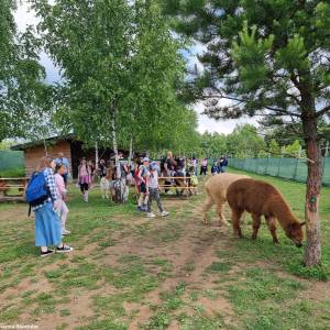Sowiarnia w Sławkowie - sowiarnia w slawkowie 1