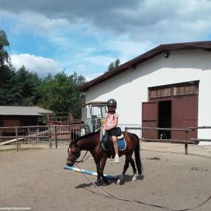 Zagroda Edukacyjna Stefanówka - zagroda edukacyjna stefanowka 4