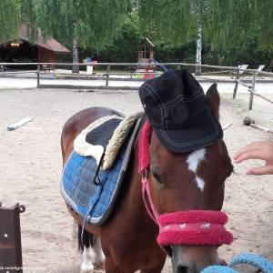 Zagroda Edukacyjna Stefanówka - zagroda edukacyjna stefanowka 5