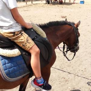 Zagroda Edukacyjna Stefanówka - zagroda edukacyjna stefanowka 8