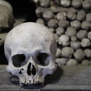 Kaplica Czaszek w Kutnej Horze - kaplica czaszek w kutnej horze 11