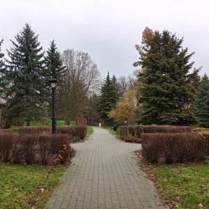 Park miejski w Sławkowie - park miejski w slawkowie 1