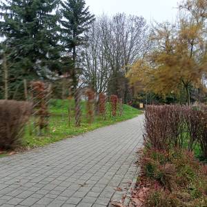 Park miejski w Sławkowie - park miejski w slawkowie 10