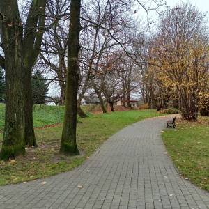 Park miejski w Sławkowie - park miejski w slawkowie 2