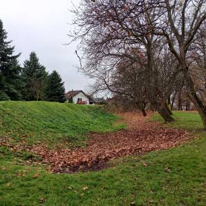 Park miejski w Sławkowie - park miejski w slawkowie 3