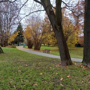 Park miejski w Sławkowie - park miejski w slawkowie 4