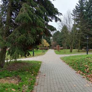 Park miejski w Sławkowie - park miejski w slawkowie 5