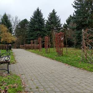 Park miejski w Sławkowie - park miejski w slawkowie 7