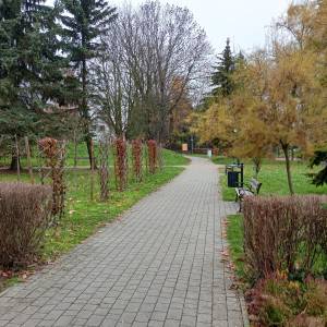 Park miejski w Sławkowie - park miejski w slawkowie 8