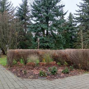 Park miejski w Sławkowie - park miejski w slawkowie 9