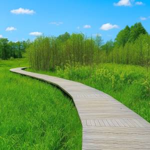 Ścieżka edukacyjna Doliny Białej Przemszy w Sławkowie - sciezka edukacyjna doliny bialej przemszy w slawkowie