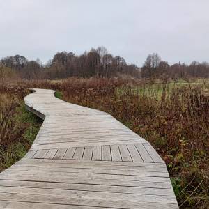 Ścieżka edukacyjna Doliny Białej Przemszy w Sławkowie - sciezka edukacyjna doliny bialej przemszy w slawkowie 13